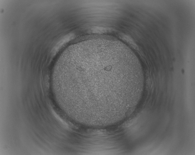 X0000067900683200604271853