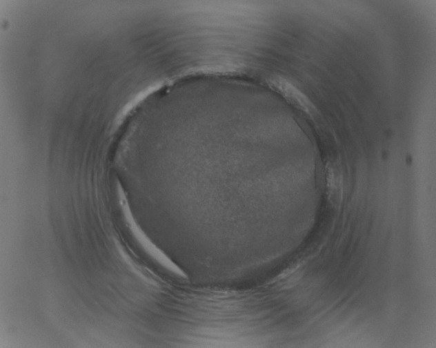 X0000067900684200604271853