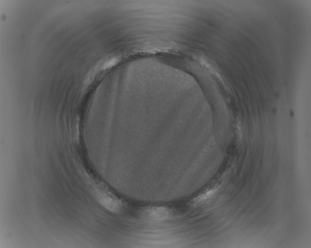 X0000067900685200604271853