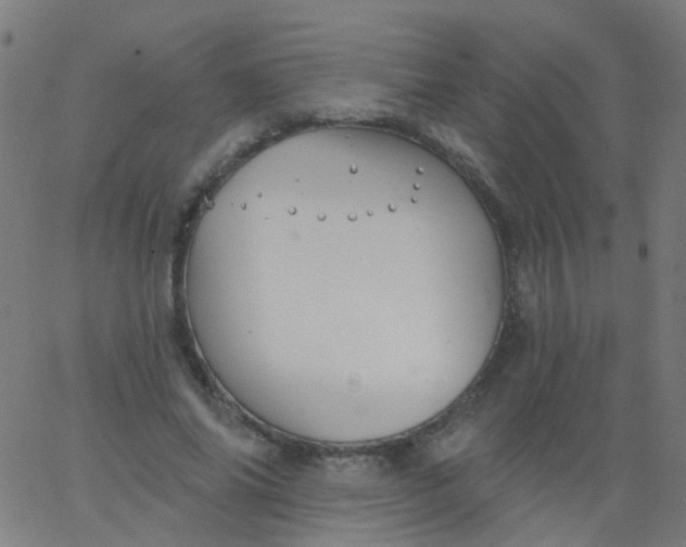 X0000067900686200604271853