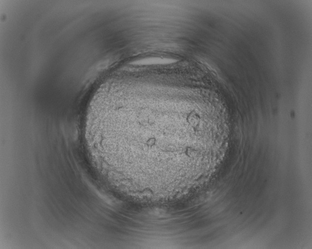 X0000067900687200604271853