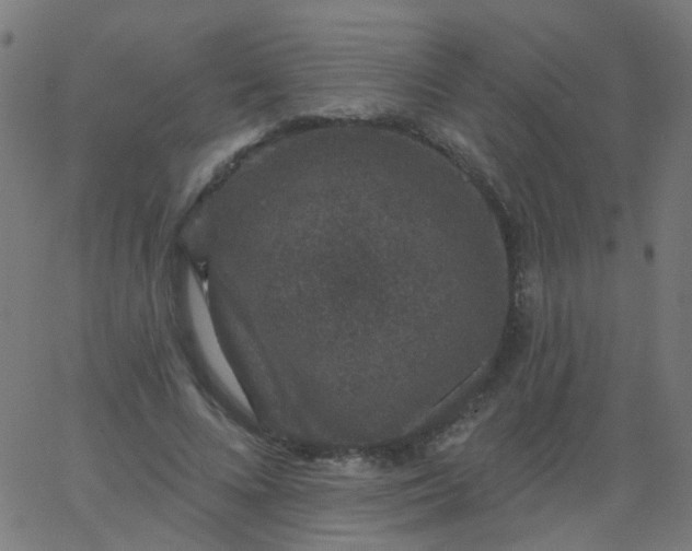 X0000067900688200604271853