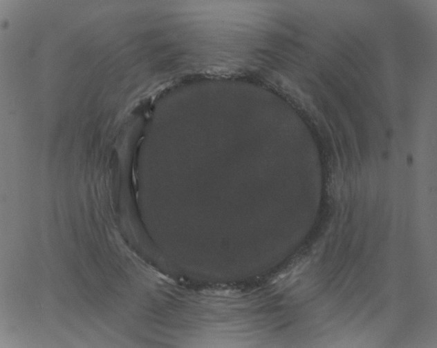 X0000067900689200604271853