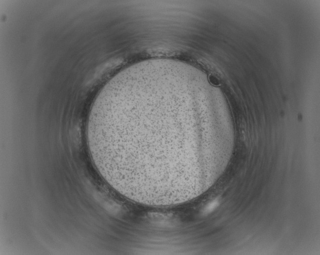 X0000067900690200604271853