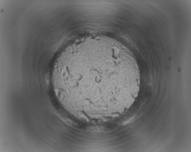 X0000067900691200604271853