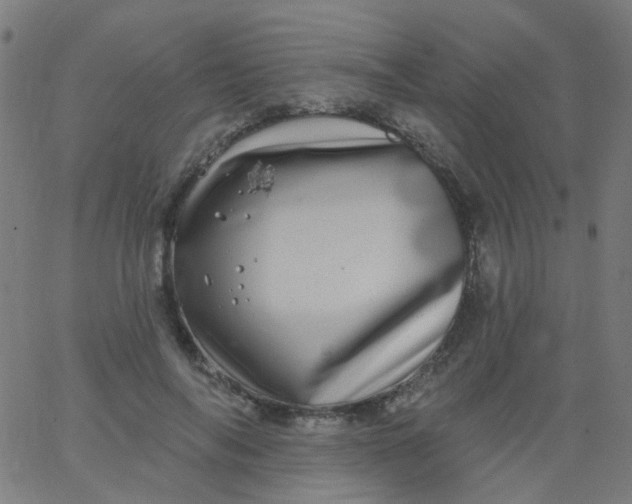 X0000067900694200604271853