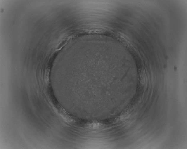 X0000067900695200604271853