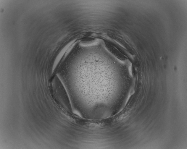 X0000067900697200604271853