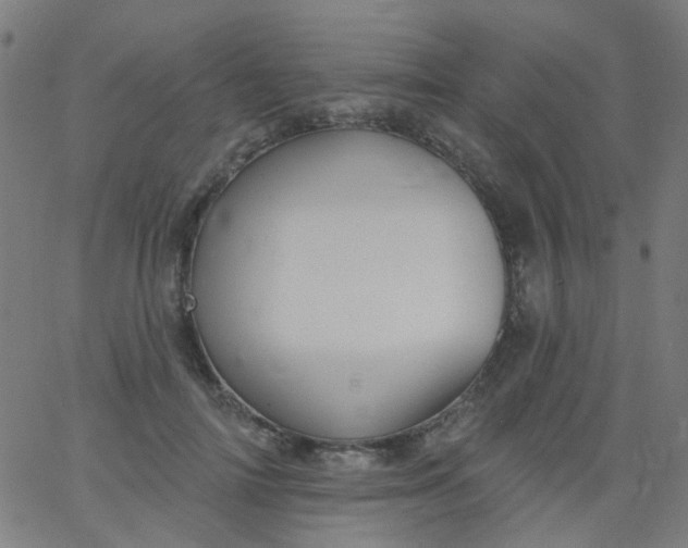 X0000067900698200604271853