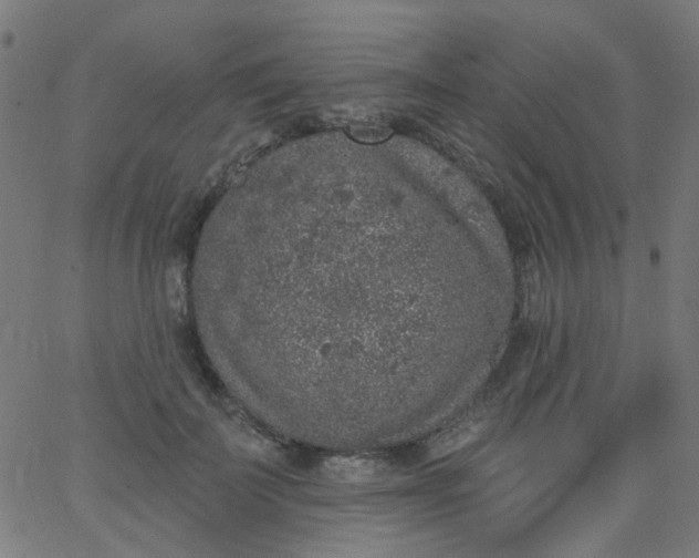 X0000067900699200604271853