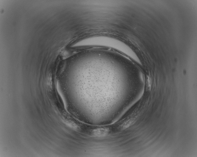 X0000067900700200604271853