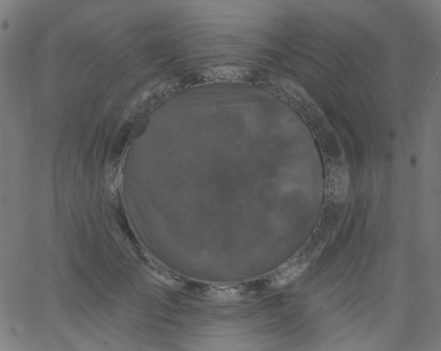 X0000067900701200604271853