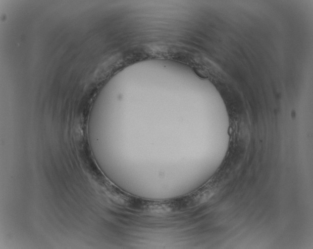 X0000067900702200604271853