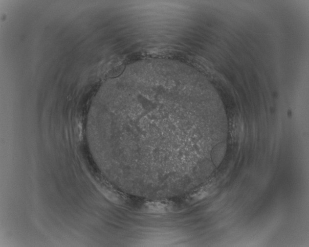 X0000067900703200604271853