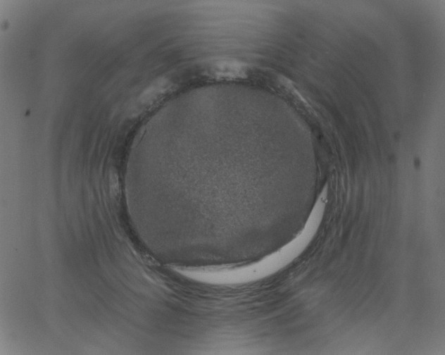 X0000067900704200604271853