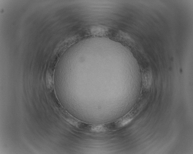 X0000067900705200604271853