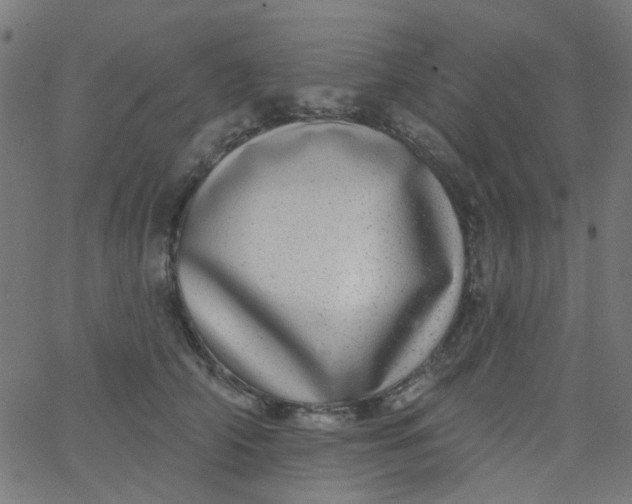 X0000067900706200604271853