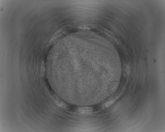 X0000067900707200604271853