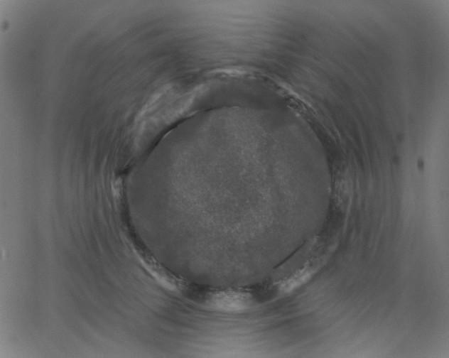 X0000067900708200604271853