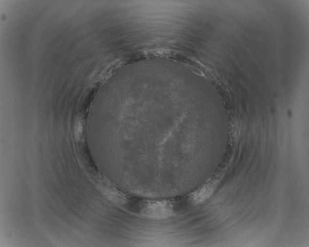 X0000067900709200604271852