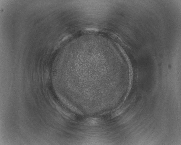 X0000067900711200604271852