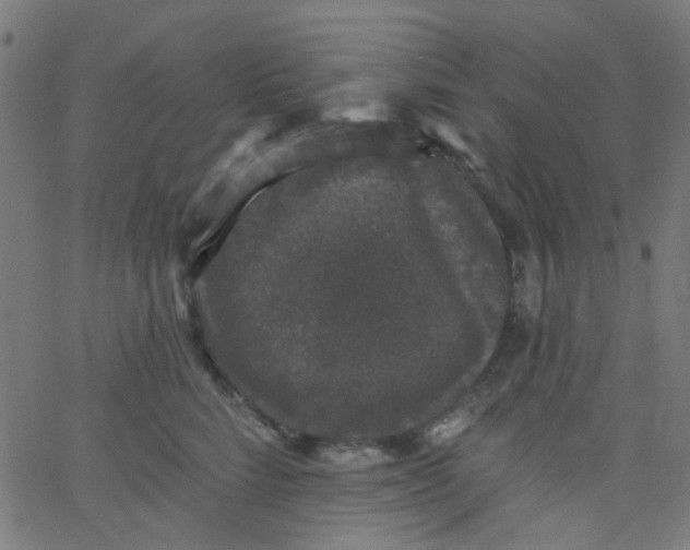 X0000067900712200604271852