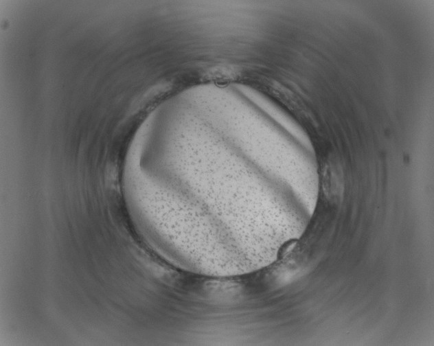 X0000067900714200604271852