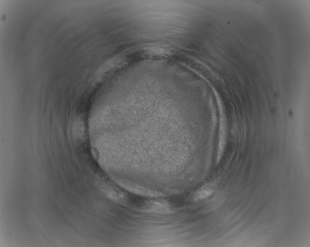 X0000067900715200604271852