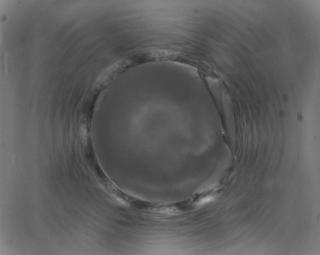 X0000067900716200604271852