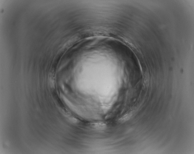 X0000067900719200604271852