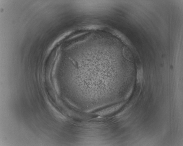 X0000067900722200604271852