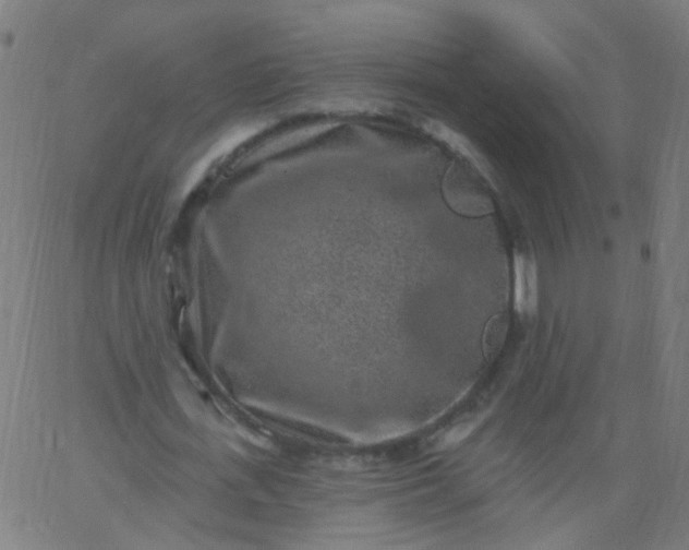 X0000067900723200604271852