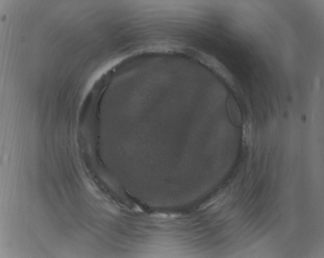 X0000067900724200604271852