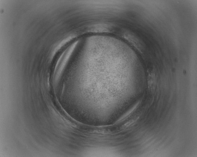 X0000067900727200604271852