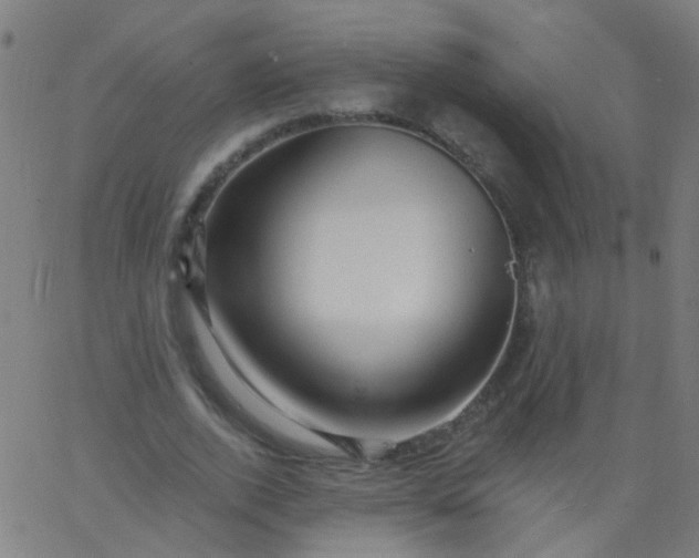 X0000067900728200604271852