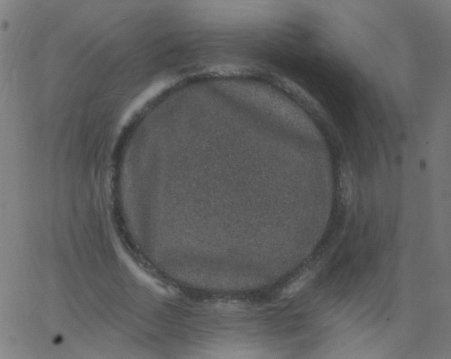 X0000067900730200604271852