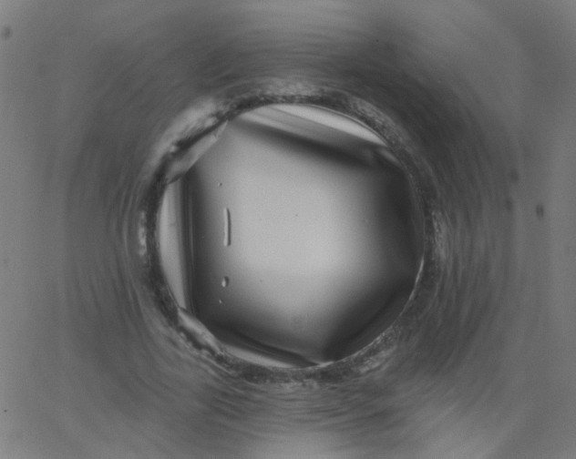 X0000067900731200604271852