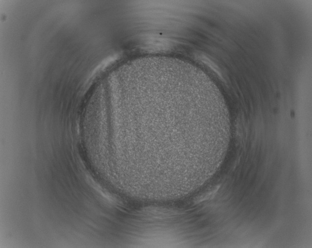 X0000067900733200604271852