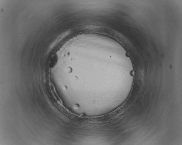 X0000067900734200604271852