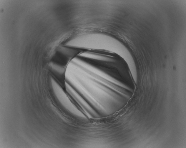 X0000067900735200604271852