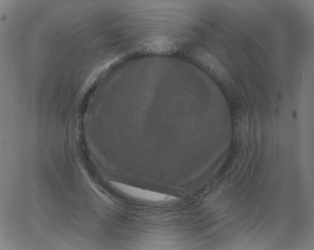 X0000067900736200604271852