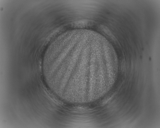 X0000067900737200604271852