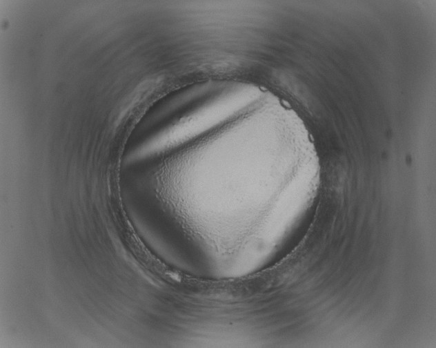 X0000067900738200604271852