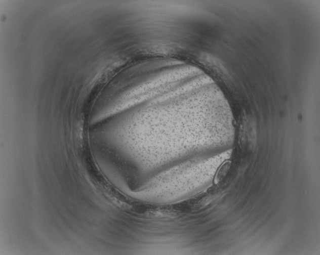 X0000067900739200604271852