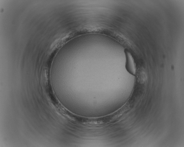 X0000067900740200604271852