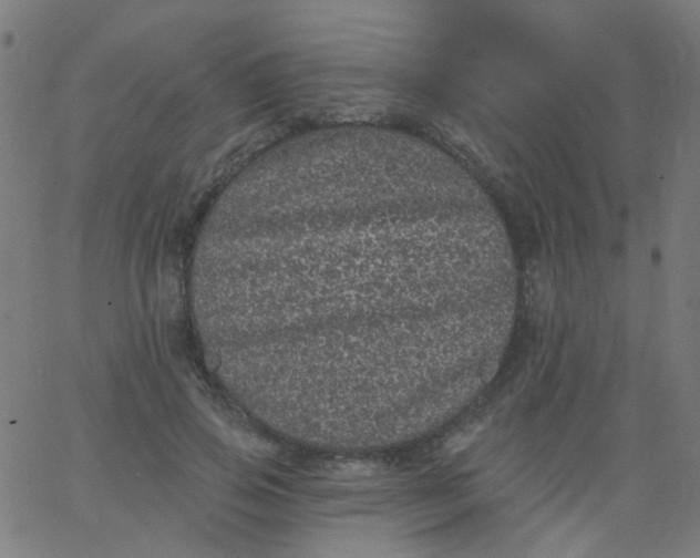 X0000067900741200604271852