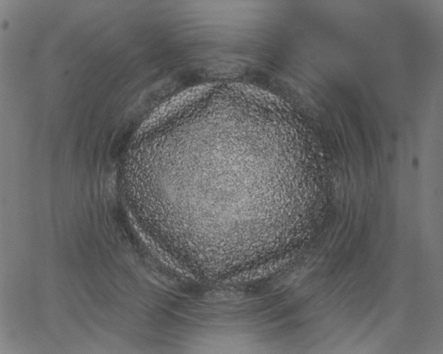 X0000067900745200604271852