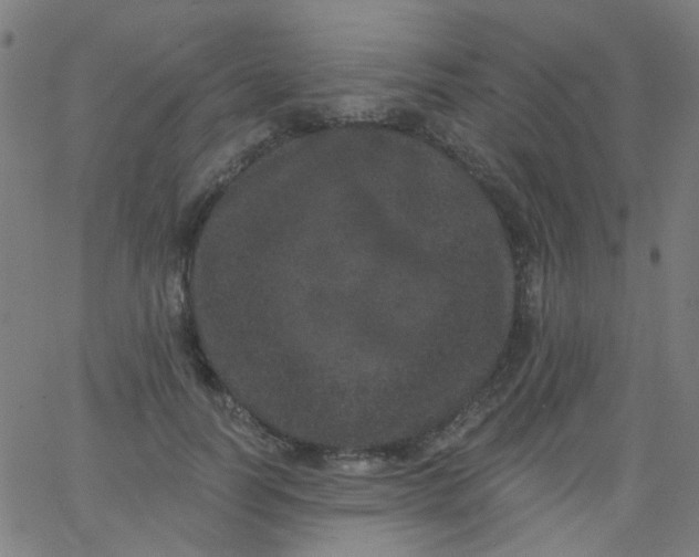 X0000067900746200604271852