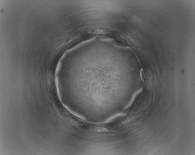 X0000067900747200604271852