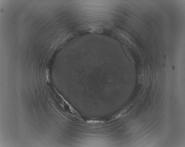 X0000067900748200604271852